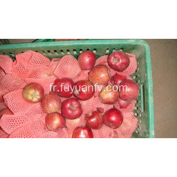 Hotsale douce et croustillante pomme étoile rouge